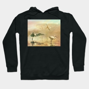 Spoonbill morning Hoodie